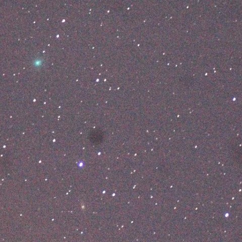 Comet McNaught(C/2009 R1)