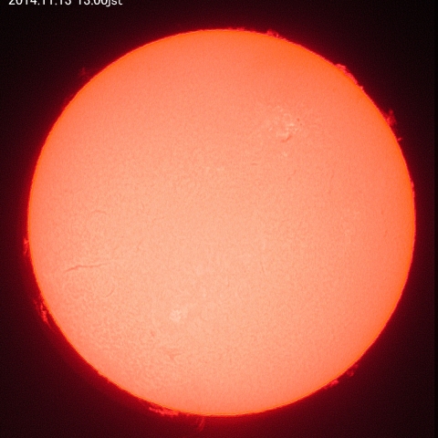 プロミネンスがいっぱい！