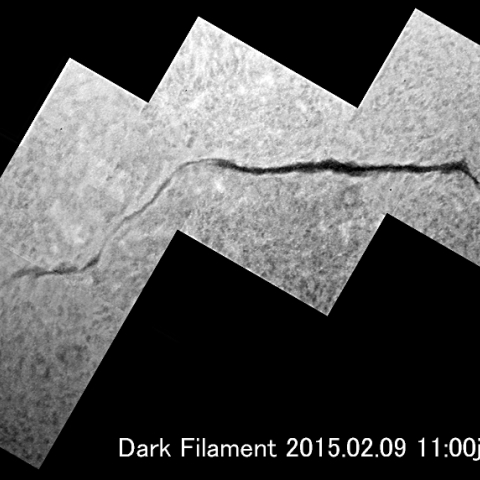ダークフィラメント