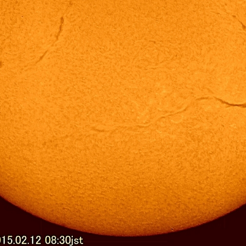 長大なダークフィラメント