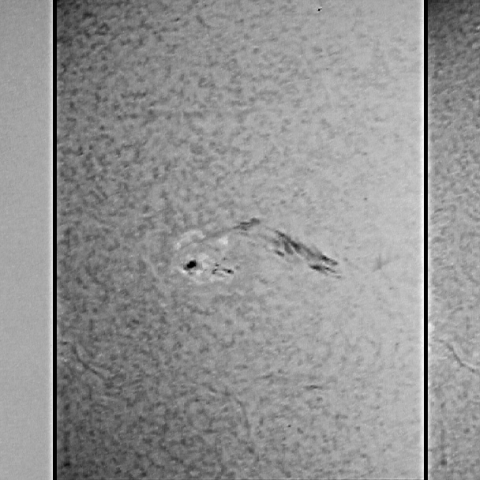 黒点周辺の活動