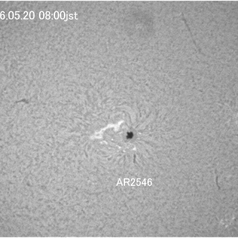 黒点AR2546付近（Hα）