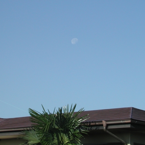 朝空の月（2）
