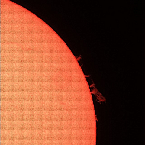 プロミネンス、12月8日