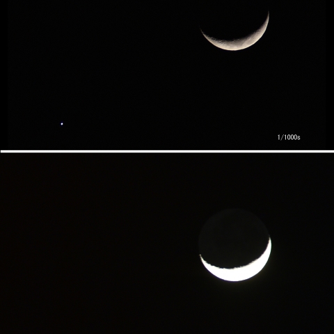 金星と三日月の接近
