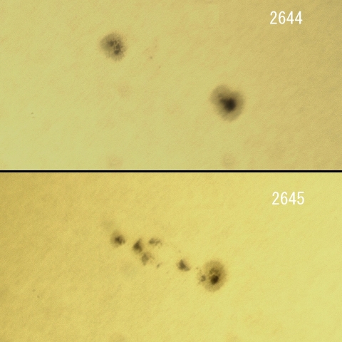 黒点群、3月30日