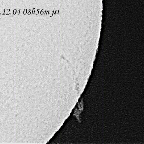 ダークフィラメントとプロミネンス