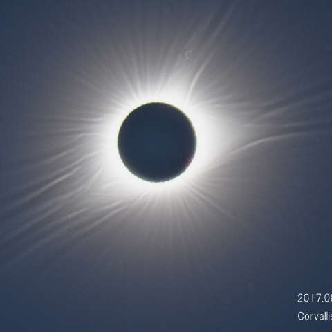 皆既日食、8月21日
