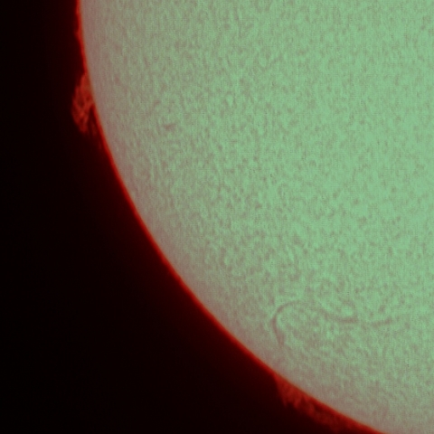 プロミネンス、11月19日