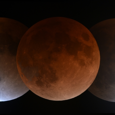 皆既月食・ターコイズフリンジ