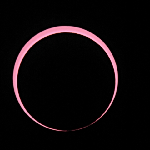 ベイリービーズ