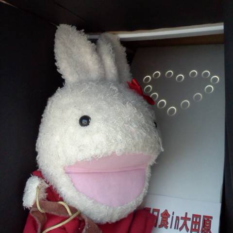 ピンホール箱からの金環日食