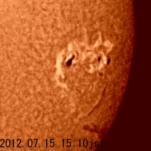 活発な太陽黒点（Ｈα線）