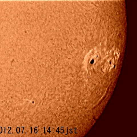 太陽黒点（Ｈα線）