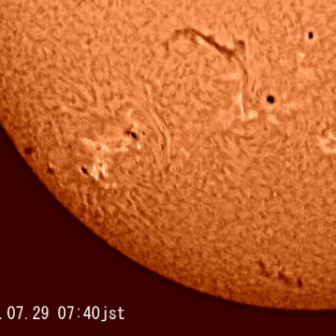 黒点とダークフィラメント