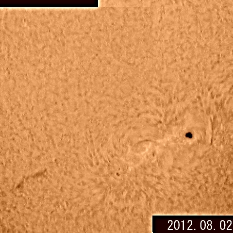 太陽黒点群（Hα）
