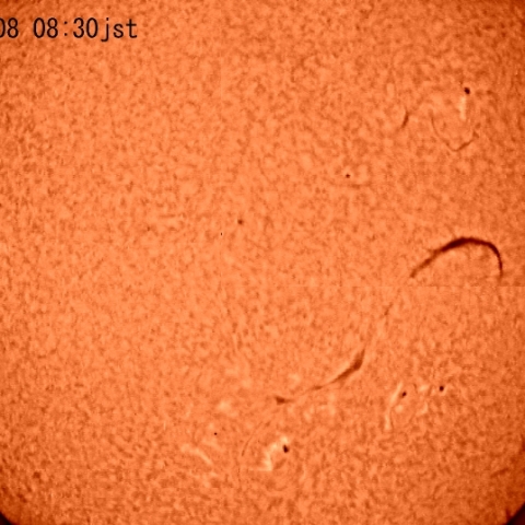 ダークフィラメント