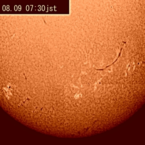 太陽（Ｈα線）