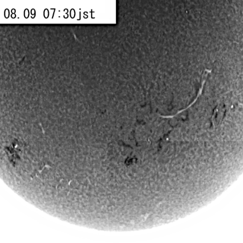 太陽（Ｈα線、反転）