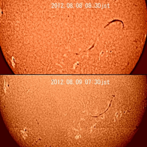二日間の太陽面の変化（Ｈ‐α線）