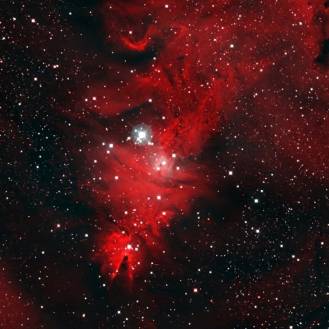 クリスマスツリー星団付近