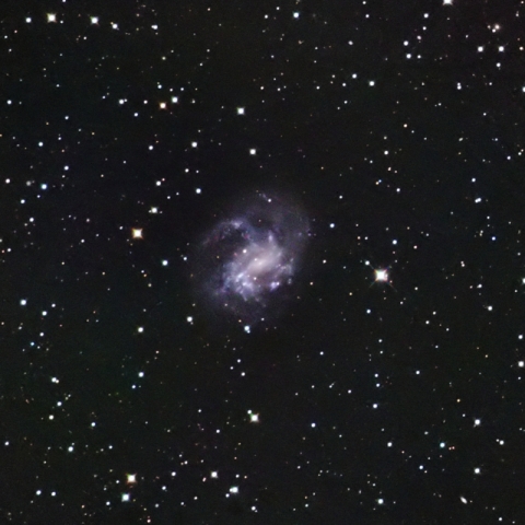NGC4395