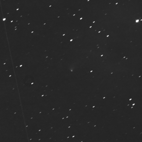 C/2023 V4 (Camarasa-Duszanowicz)