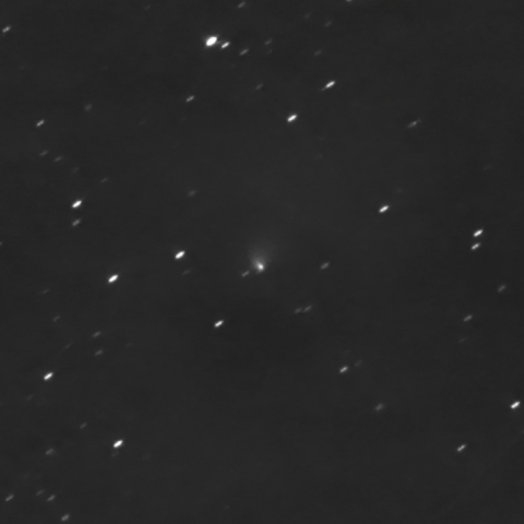 C/2023 V4 (Camarasa-Duszanowicz)