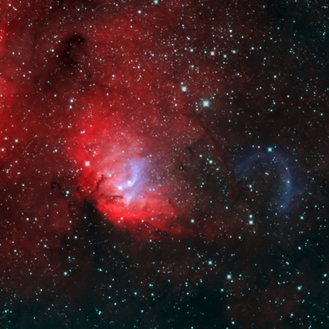 はくちょう座X-1とSh2-101