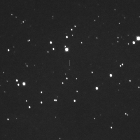 496P (Hill)