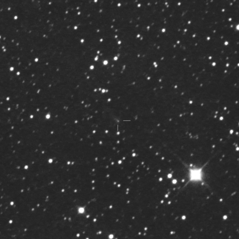 333P (LINEAR)