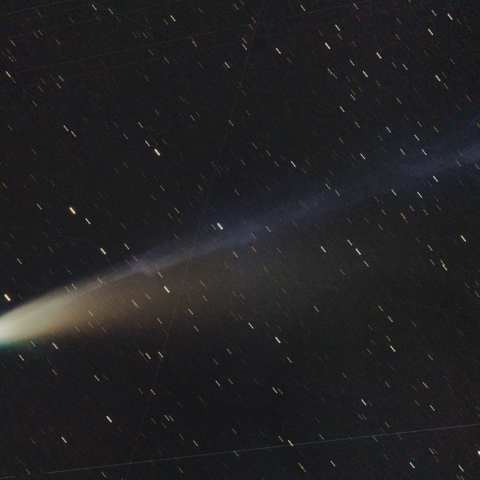C/2025 A6 (Lemmon)