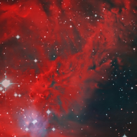 NGC2264 狐の皮星雲