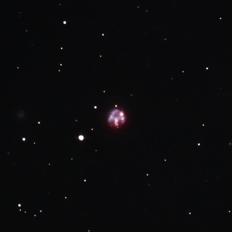 NGC2537