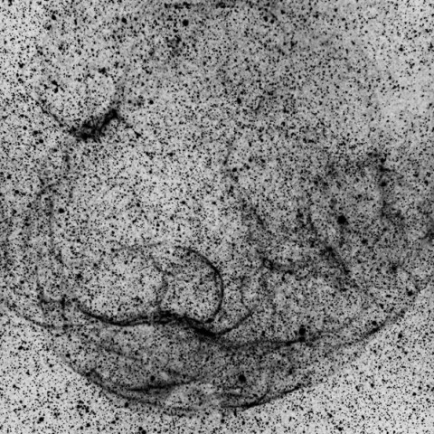 おうし座のレムナント(Sh2-240)