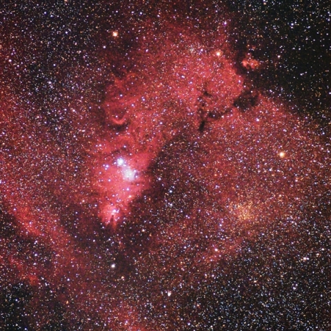 いっかくじゅう座s星付近の散光星雲