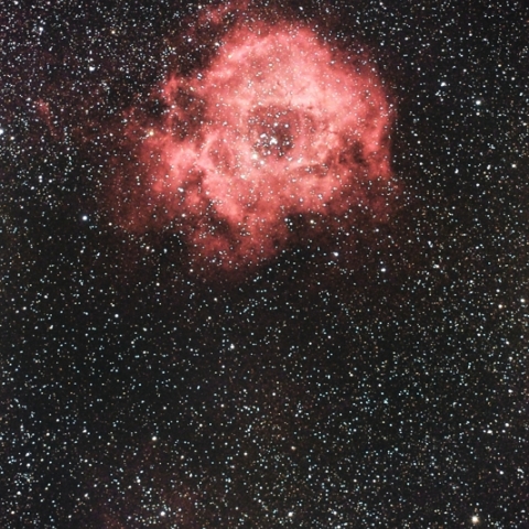 バラ星雲～Sh2-280