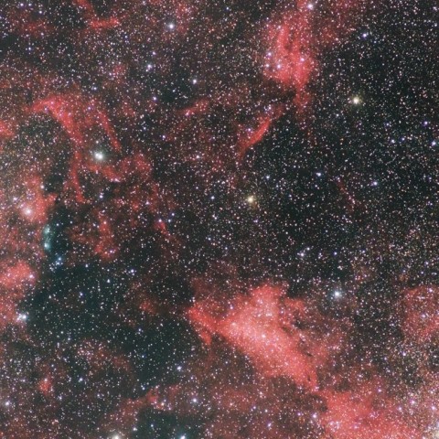 プロペラ星雲(DWB111)～IC1318