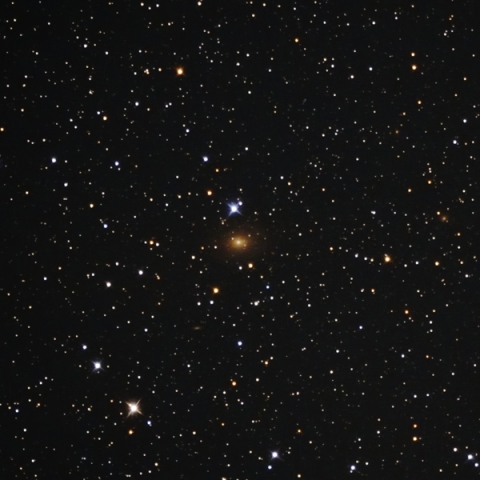 IC356 (きりん座の渦巻銀河)