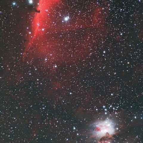 オリオン座中央部の星雲たち