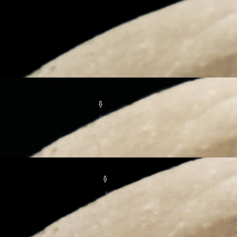 ポリマ食 (出現)