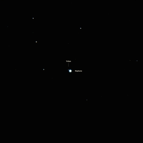 トリトン(Neptune1)