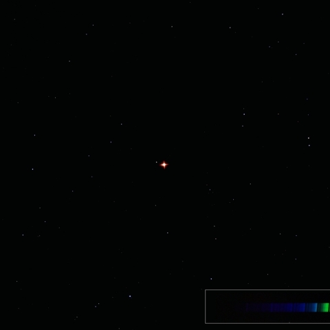 明るくなったミラ