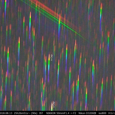 ペルセウス座流星群のスペクトル