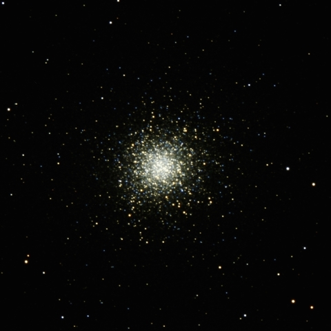 M13
