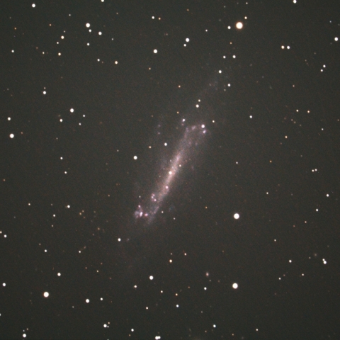 NGC4236
