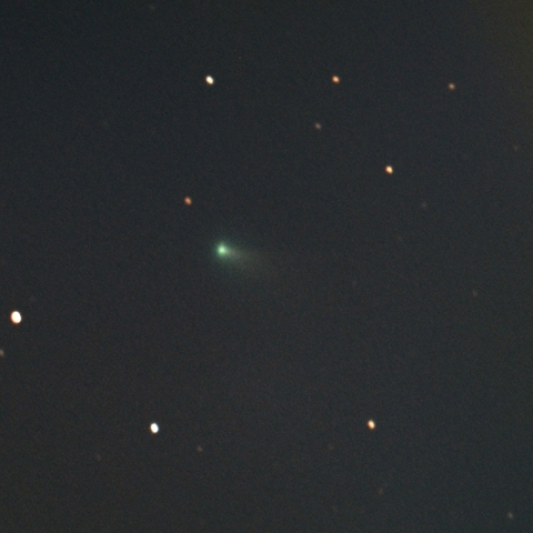 スワン彗星 (C/2020 F8)