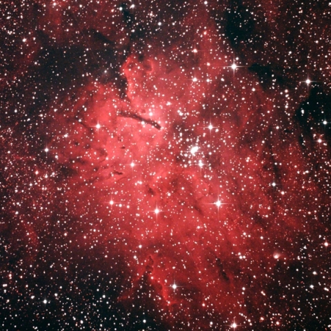 こぎつね座の散光星雲