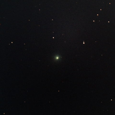 C/2019 U6 (レモン彗星)