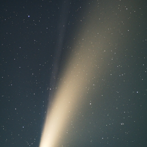 ネオワイズ彗星 (C/2020 F3)